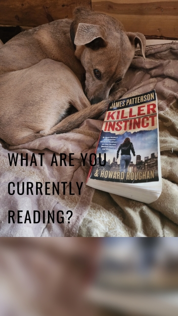 What are you currently reading?